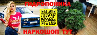 гашишное масло Аргун