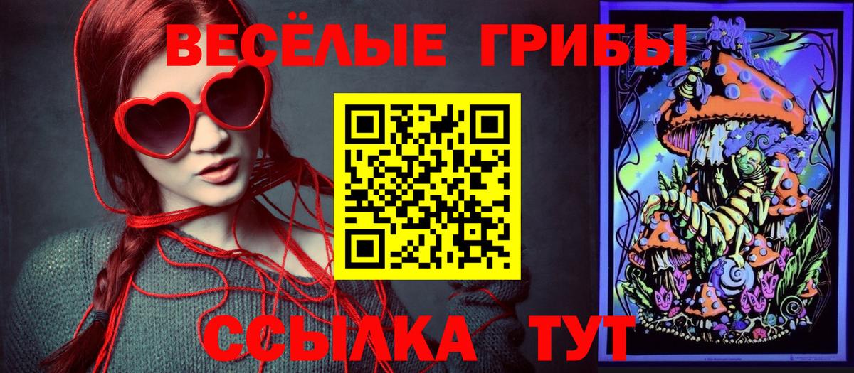 Псилоцибиновые грибы мицелий  Галлюциногенные грибы мухоморы  купить наркотик  Вход с VPN  Владикавказ 